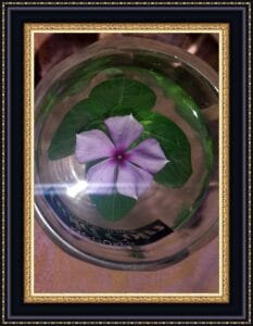 water with flower