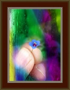 Small flower's beautiful