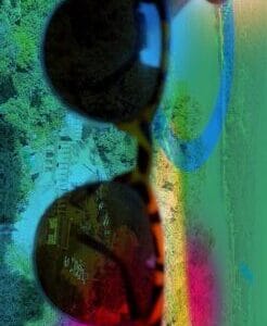 sunglasses with natur