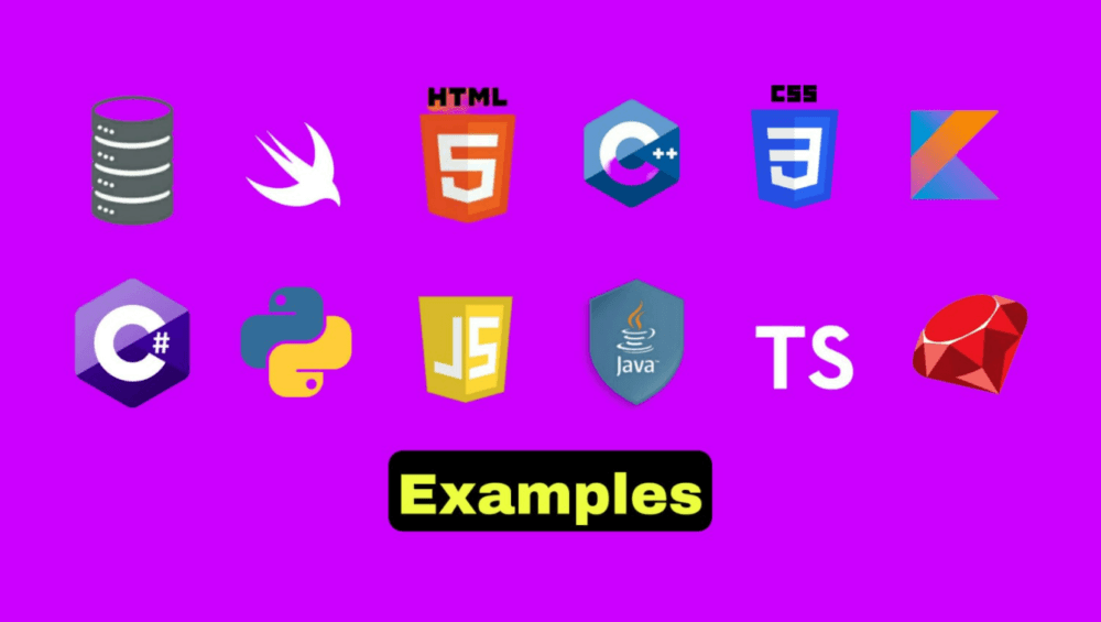 programming languages example